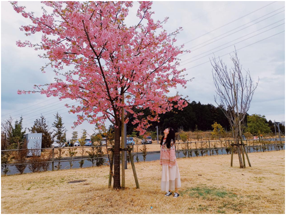QQ图片20190319095336.png